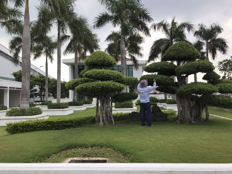 Vinaxanh