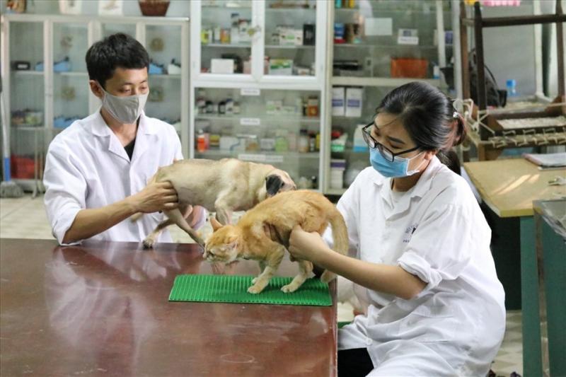 VTVet KỲ ANH