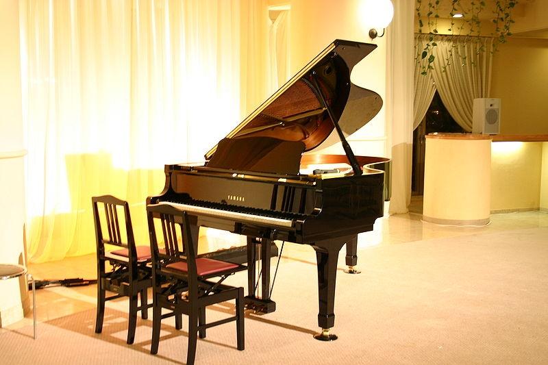 Vụ án liên hoàn gắn liền với bản Sonata Ánh trăng. Mỗi khi có án mạng xảy ra, lại là tiếng đàn dương cầm vang lên