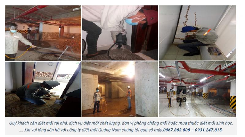 Công ty TNHH trừ mối Đại Việt