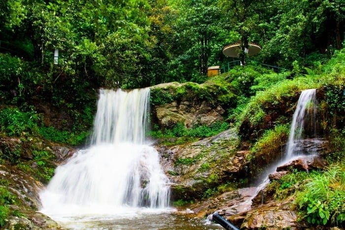 Vườn quốc gia Tam Đảo