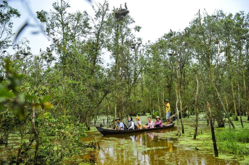 Vườn quốc gia Tràm Chim