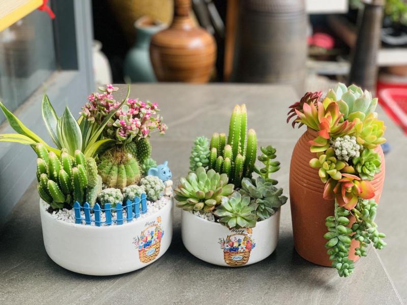 Win Garden