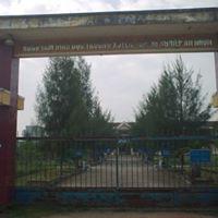 Thùy Dương Nguyễn