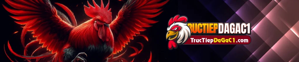 banner-tructiepdagac1