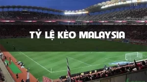 Tỷ lệ kèo Malaysia tại Vn88