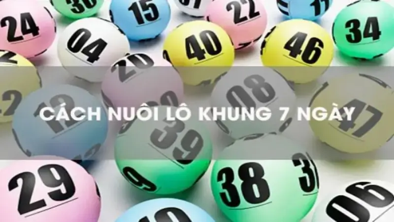 Nuôi lô theo 7 ngày cùng Vn88