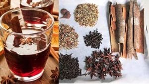 Rượu quế trị gà bị liệt chân hiệu quả