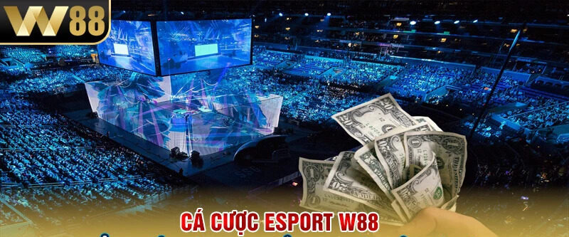 Ca-Cuoc-Esport-W88