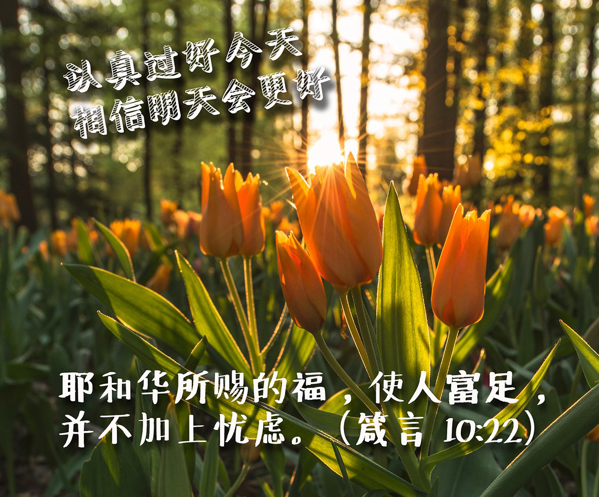 鼓励经文 图 Word Of God Heals