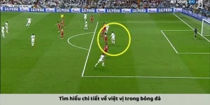 Kèo Việt Vị