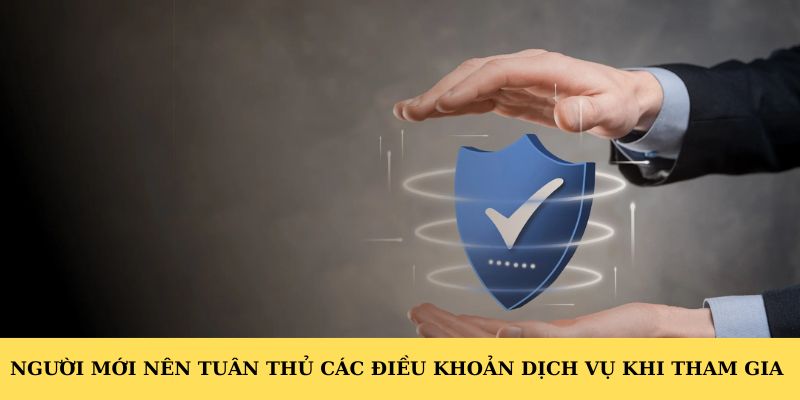 Người mới nên tuân thủ các điều khoản dịch vụ khi tham gia 